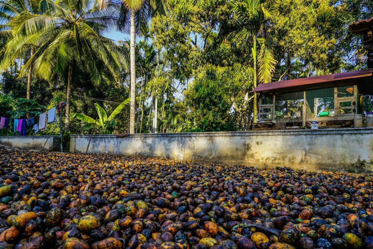 Spice Garden Farm house Sultan Bathery Buitenkant foto