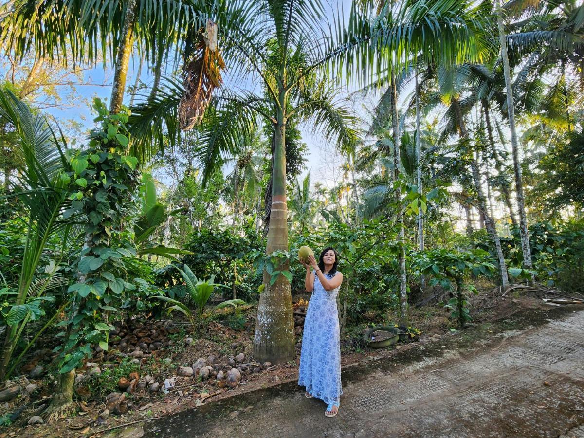 Spice Garden Farm house Sultan Bathery Buitenkant foto