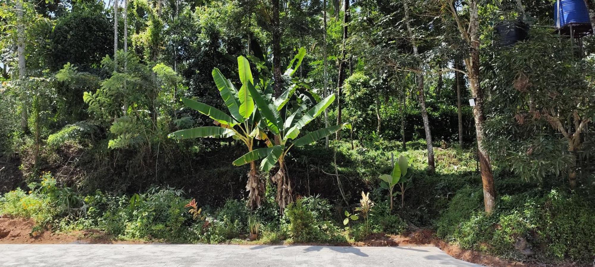 Spice Garden Farm house Sultan Bathery Buitenkant foto
