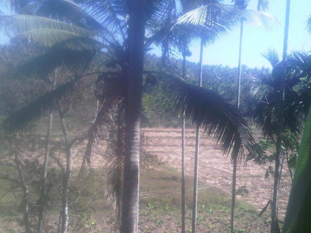 Spice Garden Farm house Sultan Bathery Buitenkant foto