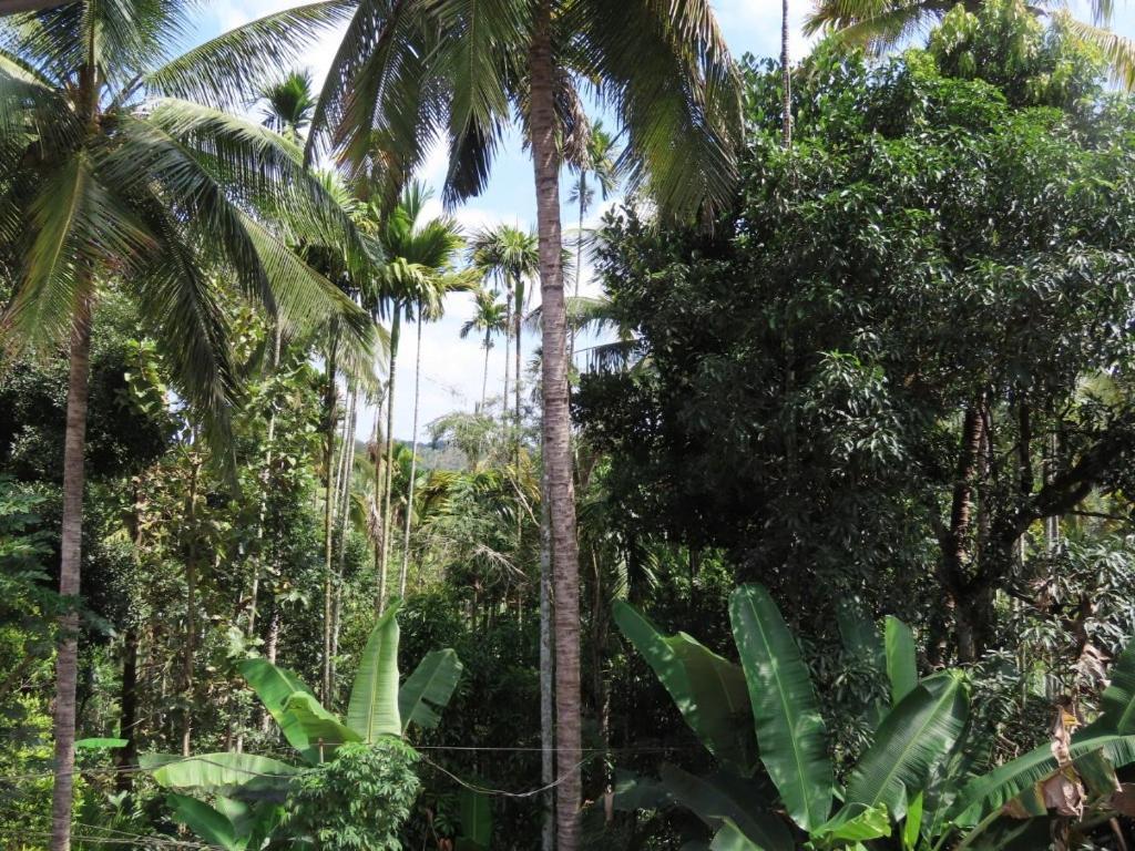 Spice Garden Farm house Sultan Bathery Buitenkant foto