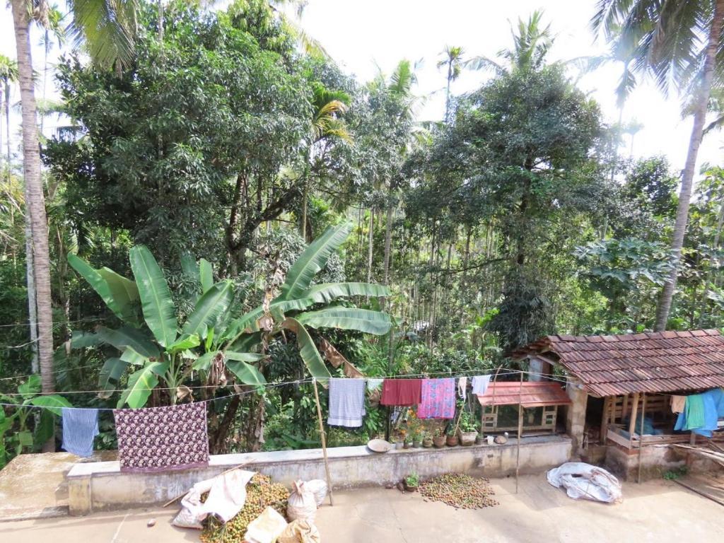 Spice Garden Farm house Sultan Bathery Buitenkant foto
